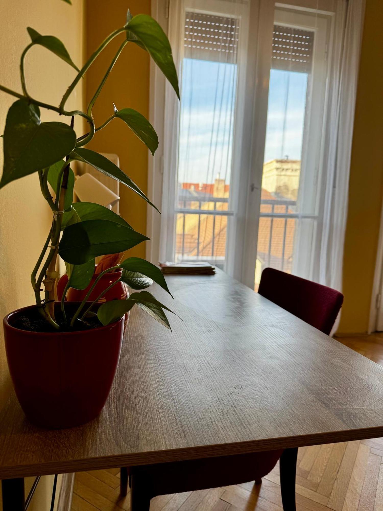 Extralarge Queen Room In The Heart Of Bratislava With Terrace Bagian luar foto